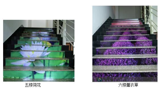 QQ截图20170329190457.jpg